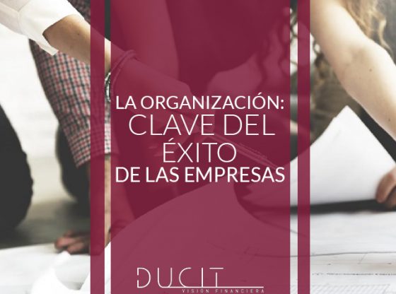 cultura organizacional