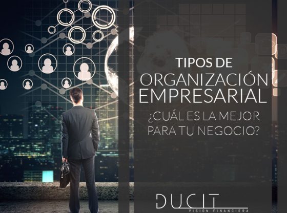 tipos de organizaciones
